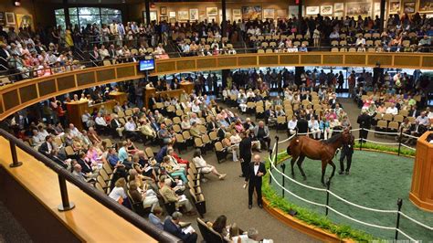 fasig tipton sales today.